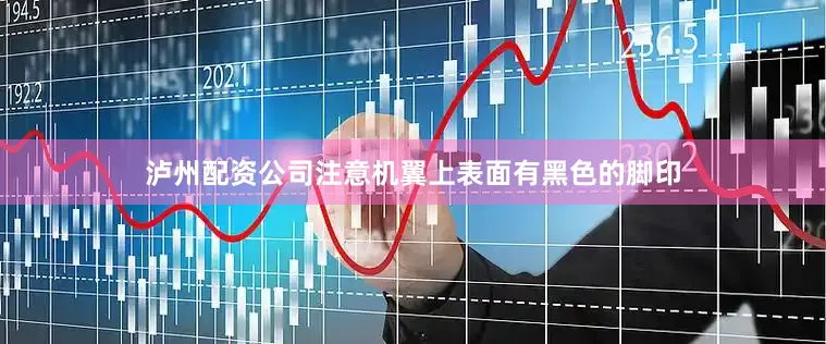 泸州配资公司注意机翼上表面有黑色的脚印