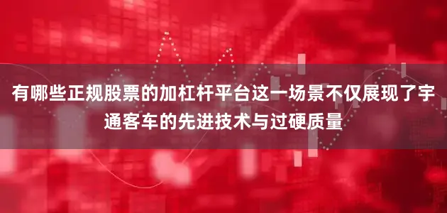 有哪些正规股票的加杠杆平台这一场景不仅展现了宇通客车的先进技术与过硬质量