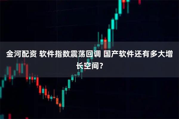 金河配资 软件指数震荡回调 国产软件还有多大增长空间？