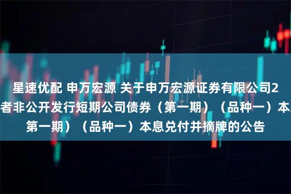 星速优配 申万宏源 关于申万宏源证券有限公司2025年面向专业投资者非公开发行短期公司债券（第一期）（品种一）本息兑付并摘牌的公告
