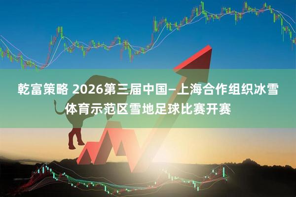 乾富策略 2026第三届中国—上海合作组织冰雪体育示范区雪地足球比赛开赛