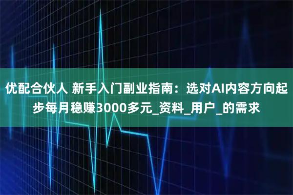 优配合伙人 新手入门副业指南：选对AI内容方向起步每月稳赚3000多元_资料_用户_的需求